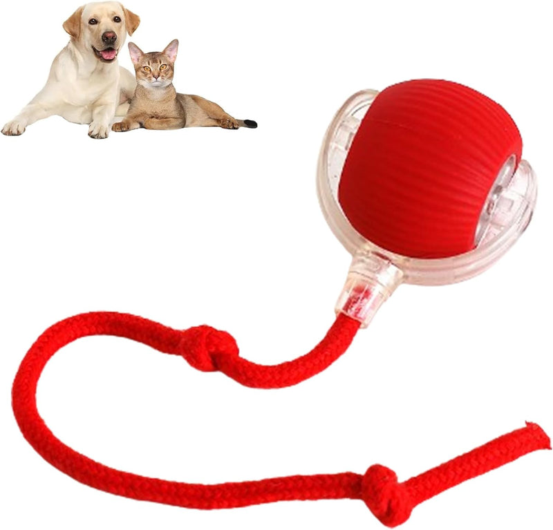 PawMotion™ Smart Rolling Ball